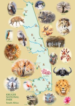 DTG Kruger National Park Map